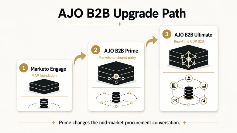 AJO B2B maturity ladder from Marketo Engage to Prime and Ultimate with Real Time CDP B2B